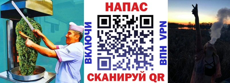 Купить где  Майкоп  Canna-Cookies конопля 