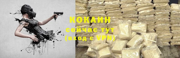 ALPHA PVP Горнозаводск