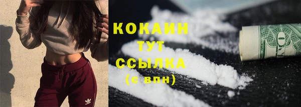 ALPHA PVP Горнозаводск